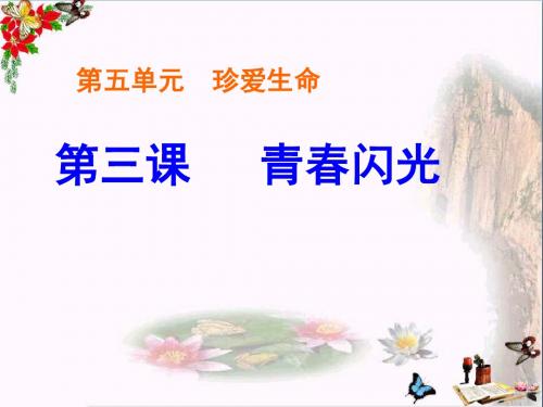 青春闪光ppt优秀课件3 粤教版
