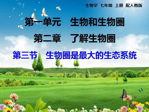 初中七年级上册生物《生物圈是最大的生态系统》课件