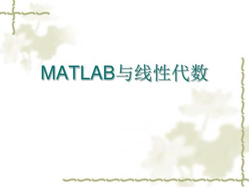 MATLAB与线性代数课件