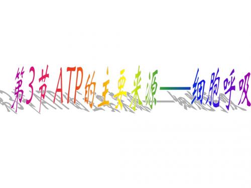 高一生物5.3ATP的主要来源--呼吸作用