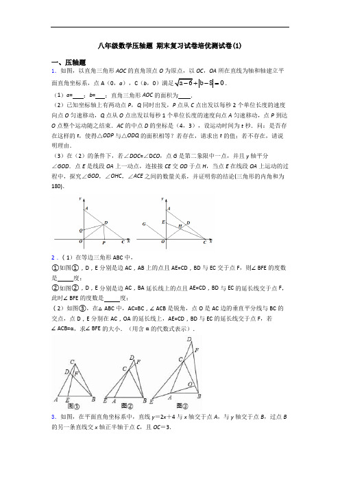 八年级数学压轴题 期末复习试卷培优测试卷(1)