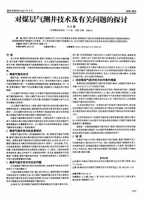 对煤层气测井技术及有关问题的探讨