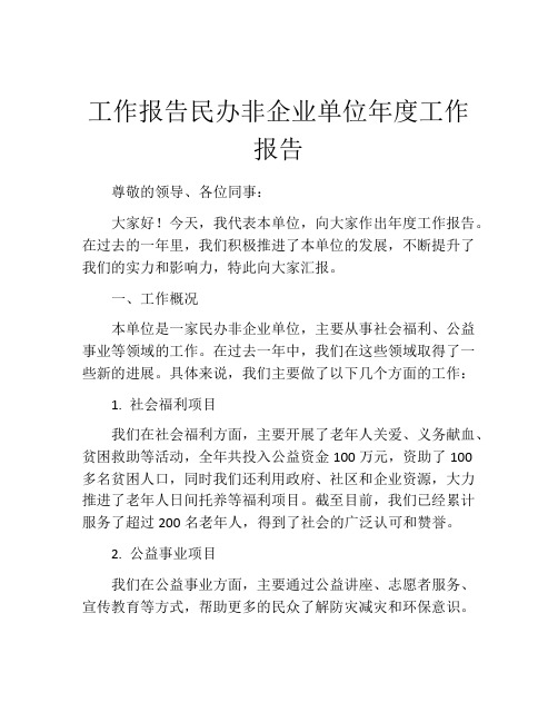 工作报告民办非企业单位年度工作报告