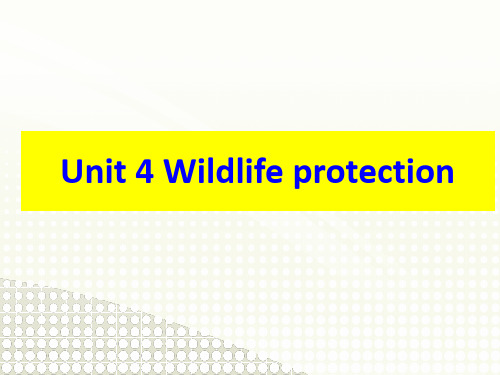 人教版高中英语必修二单元二Book2Unit4 wildlife protection语言点