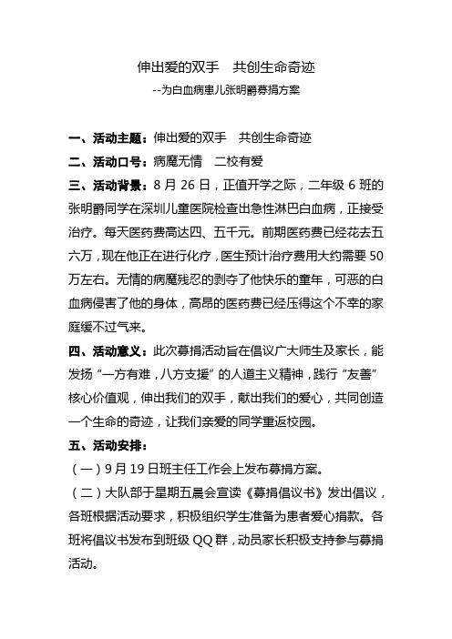 为白血病患儿募捐策划书