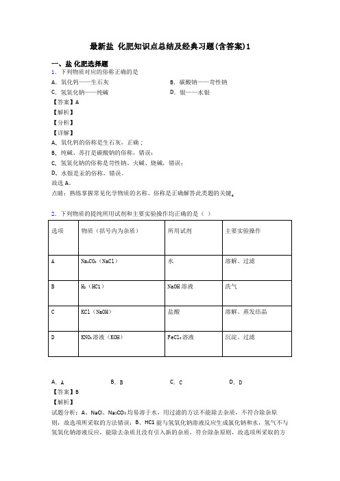 最新盐 化肥知识点总结及经典习题(含答案)1