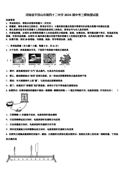 河南省平顶山市第四十二中学2024届中考三模物理试题含解析