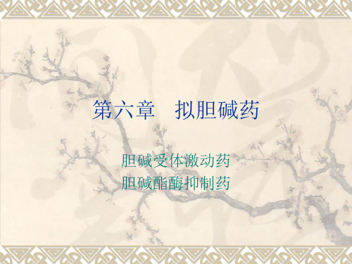 2.2拟胆碱药
