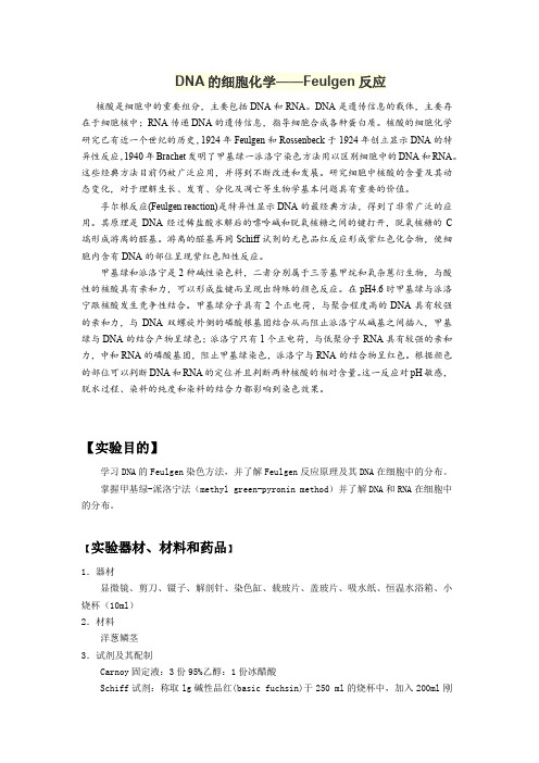 DNA的细胞化学——Feulgen反应