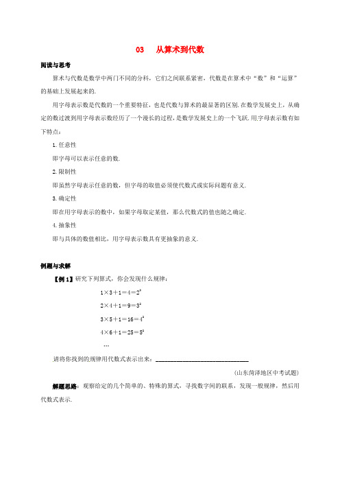 人教版七年级数学下册专题训练03-从算术到代数试题(含答案)