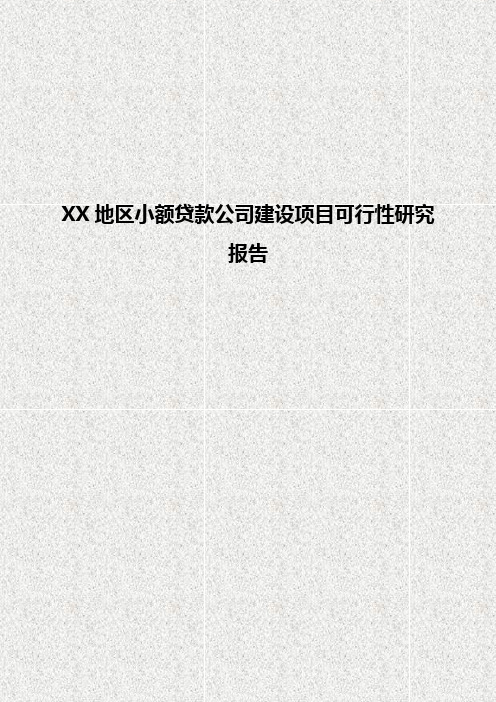 XX地区小额贷款公司建设项目可行性研究报告