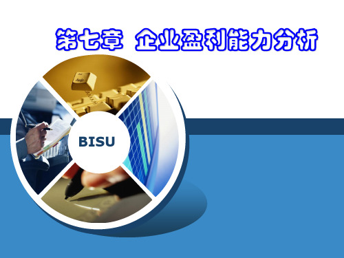 第7章企业盈利能力分析