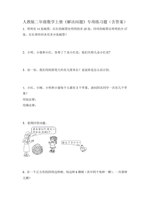 人教版二年级数学上册《解决问题》专项练习题(含答案)