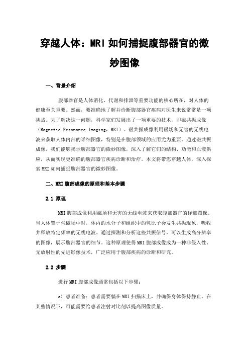 穿越人体：MRI如何捕捉腹部器官的微妙图像