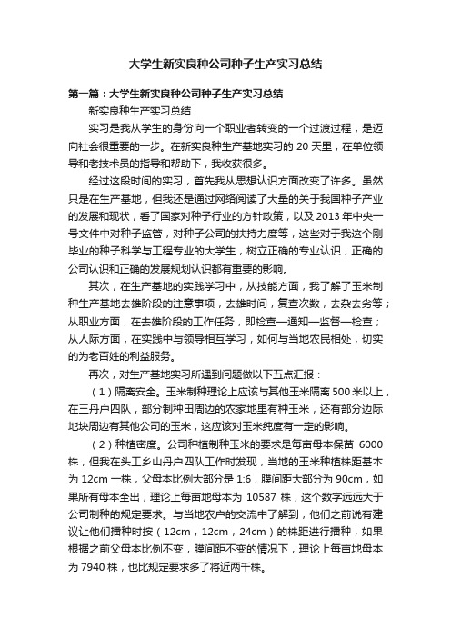 大学生新实良种公司种子生产实习总结