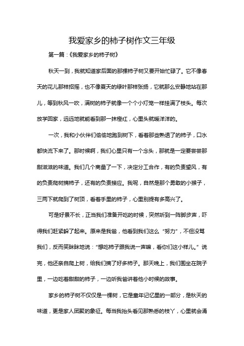 我爱家乡的柿子树作文三年级