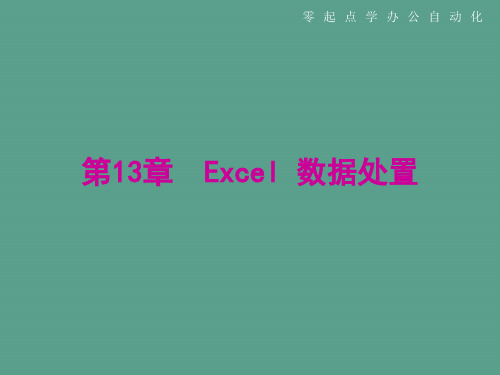 第13章Excel数据处理ppt课件