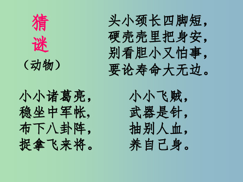 七年级语文上册 第23课 绿色蝈蝈课件 (新版)新人教版