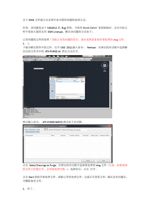 关于DWG文件超大以及拷贝命令假死问题的处理方法