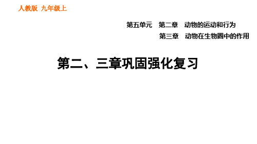 人教版生物八年级上册第五单元第二、三章巩固强化复习课件