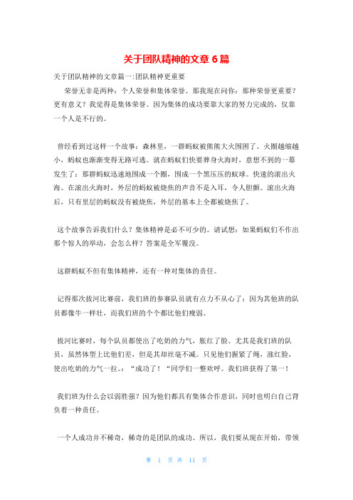 关于团队精神的文章6篇