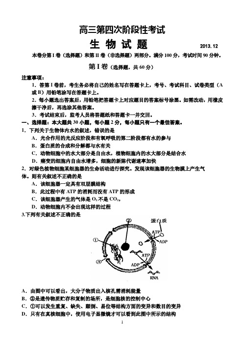 山东省泰安市宁阳县宁阳一中高三第四次阶段性考试生物及答案