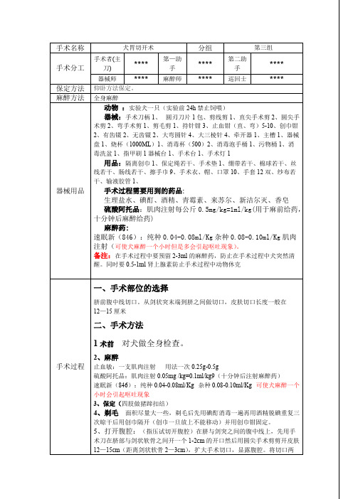 犬胃切开术计划方案