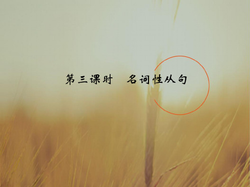 2018版高考英语江苏专用译林大一轮复习课件:第二部分 高考基础语法 第三课时 名词性从句 精品