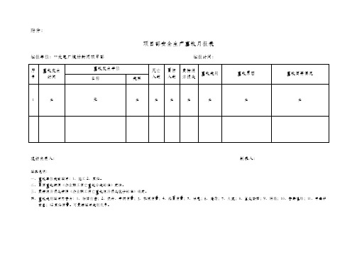 安全生产事故月报表