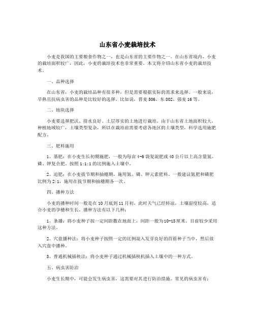 山东省小麦栽培技术