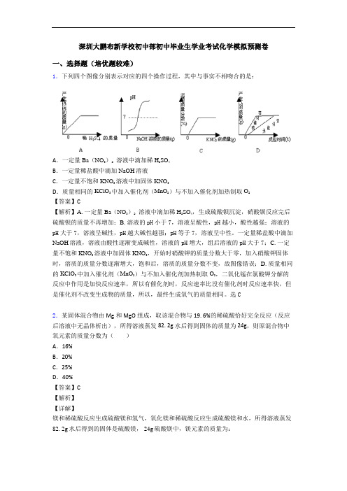 深圳大鹏布新学校初中部初中毕业生学业考试化学模拟预测卷