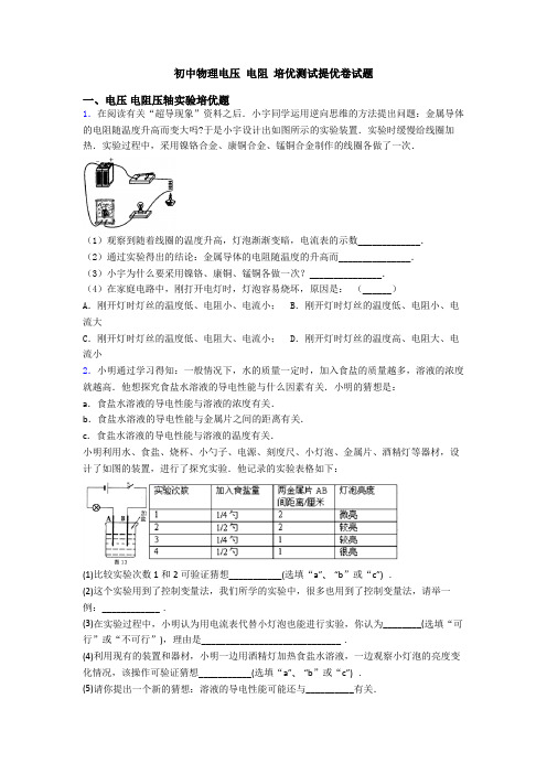 初中物理电压 电阻 培优测试提优卷试题