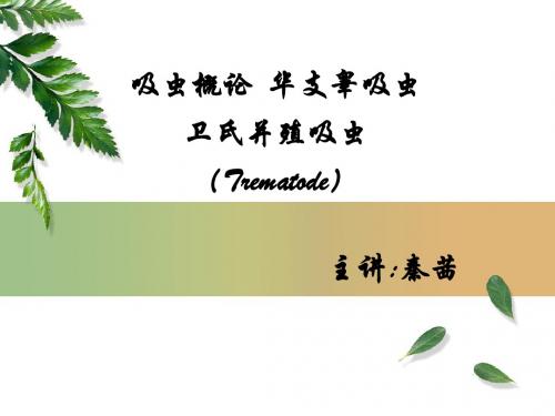 吸虫概论、肝吸虫和肺吸虫(秦)