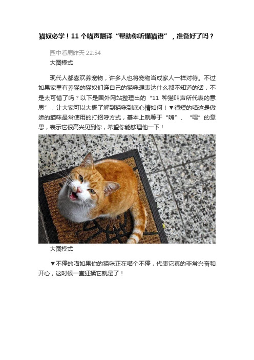 猫奴必学！11个喵声翻译“帮助你听懂猫语”，准备好了吗？