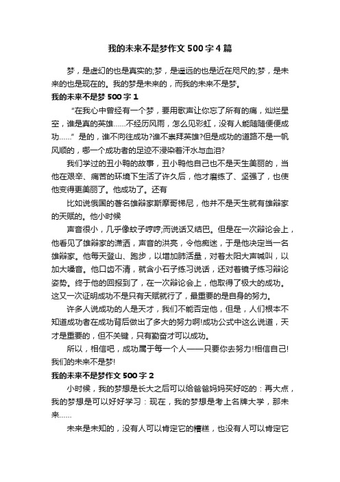 我的未来不是梦作文500字4篇