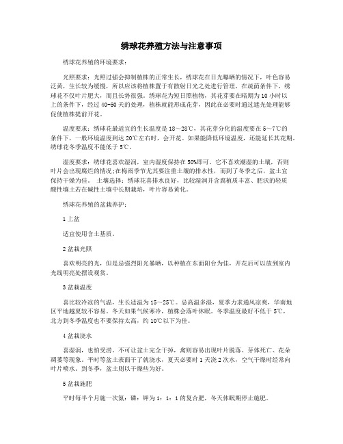 绣球花养殖方法与注意事项