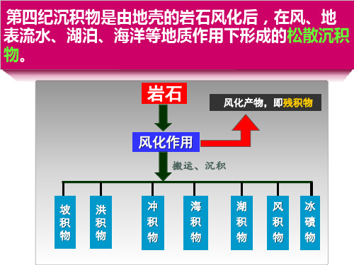 任务四第四纪沉积物