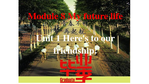 外研版英语九年级下册：Module8 Unit 1 Here's to our friendship  课件(共48张PPT)