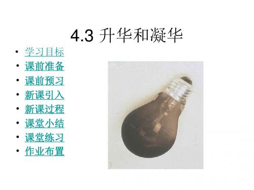 4.3-升华和凝华(教学课件201908)