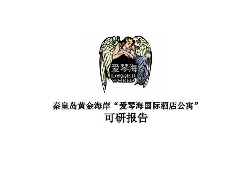 某某旅游景点国际酒店公寓可行性研究报告