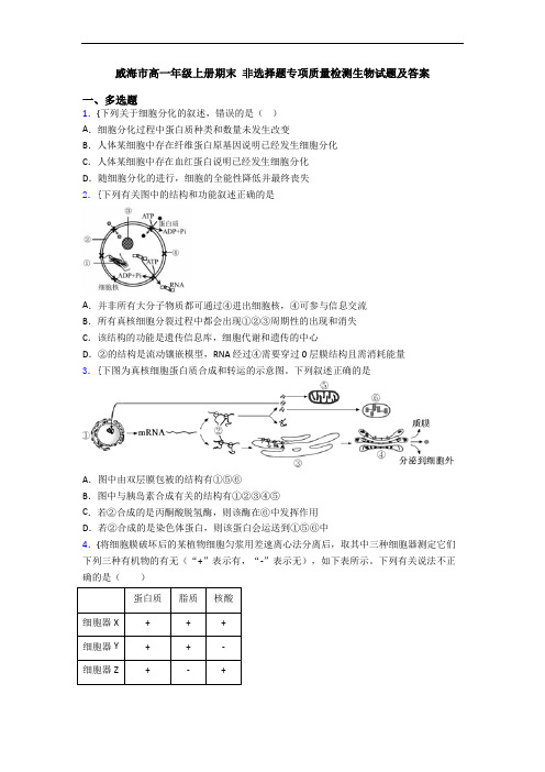 威海市高一年级上册期末 非选择题专项质量检测生物试题及答案