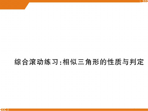 北师大版数学九年级上册综合滚动练习：相似三角形的性质与判定-课件