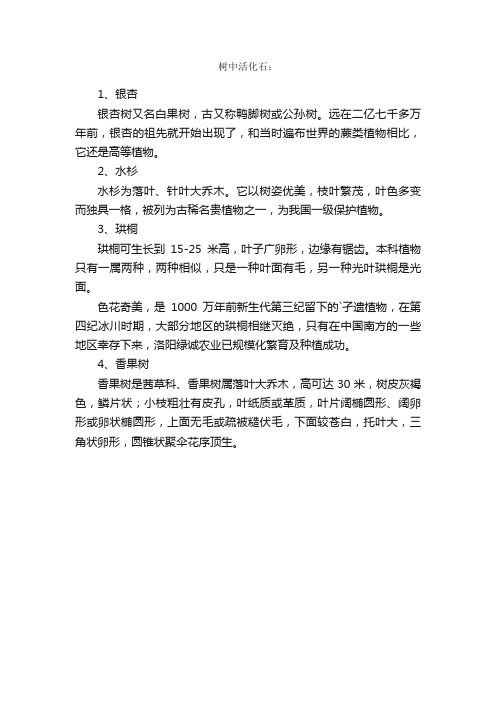 关于什么树被称为活化石