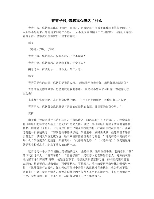 青青子衿,悠悠我心表达了什么