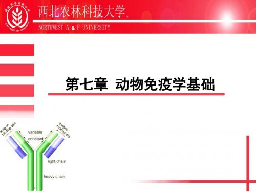 第七章动物免疫学基础