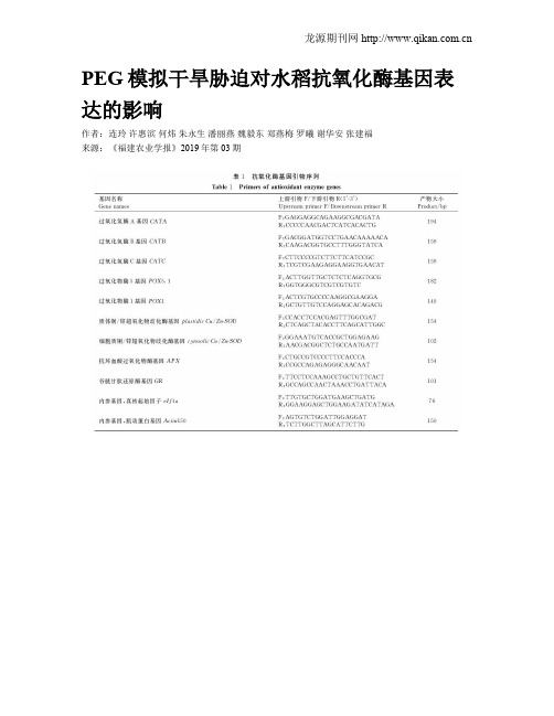 PEG模拟干旱胁迫对水稻抗氧化酶基因表达的影响