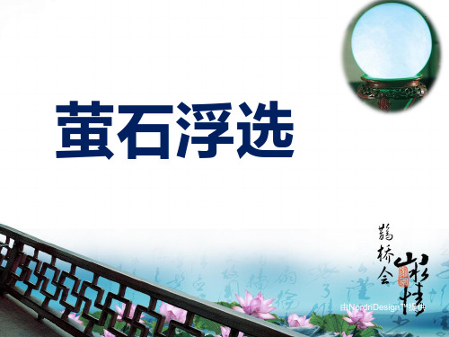 萤石浮选精品PPT课件