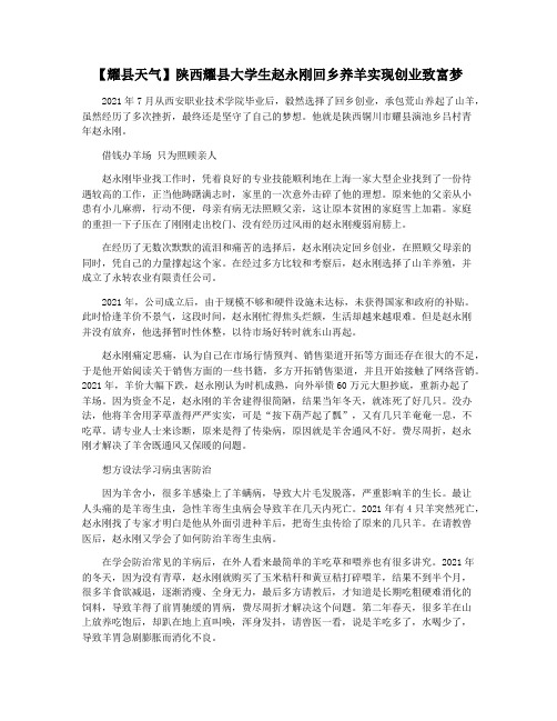 【耀县天气】陕西耀县大学生赵永刚回乡养羊实现创业致富梦