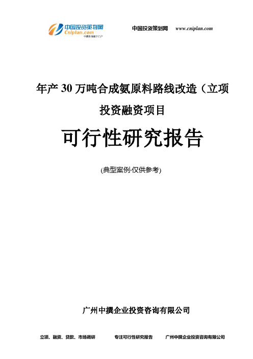 年产30万吨合成氨原料路线改造(融资投资立项项目可行性研究报告(非常详细)