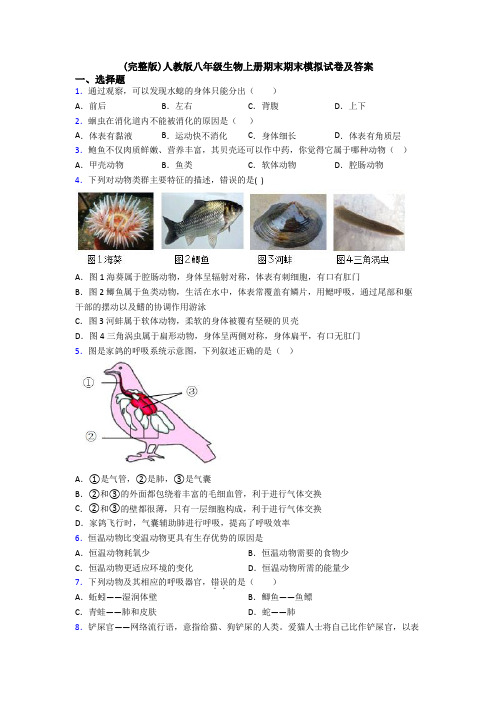 (完整版)人教版八年级生物上册期末期末模拟试卷及答案